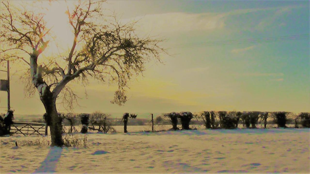The Abberton Shepherds Hut Farm stay *